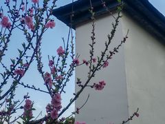 -乌山风景区