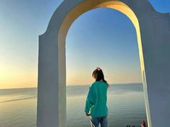 -合肥滨湖国家森林公园