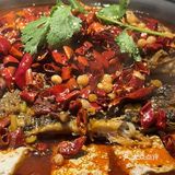 我的宝藏店铺之陈阿焦烤鱼[打call][打call][打call]