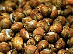 -广州中心皇冠假日酒店-环市食坊·海鲜自助餐厅