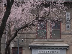 -山东大学(趵突泉校区)