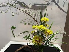 -杭州植物园