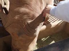 -鄂尔多斯野生动物园