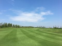 球场-滨海高尔夫俱乐部