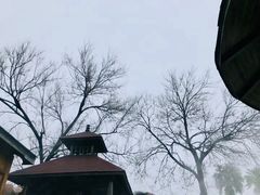 -金孔雀温泉旅游度假村