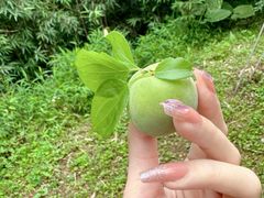 -广州市石门国家森林公园