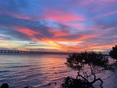 -宝安西湾红树林湿地公园