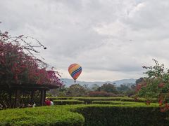 -中国科学院西双版纳热带植物园