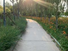 -天津东丽湖风景区