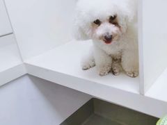 -关爱宠物医院·猫科中心·消化科(滨湖万达分院)