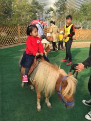 -萌宠亲子动物乐园(槐房万达店)