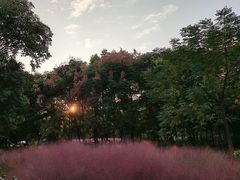 -云龙湖旅游景区