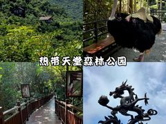 -亚龙湾亚泰商业街