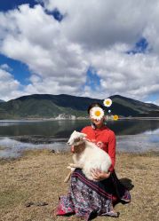 -纳帕海依拉草原