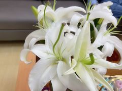 -雅悦齿科(顾村公园店)
