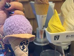 -野人先生现做冰淇淋(北京顺义祥云小镇店)