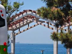 -养马岛旅游度假区