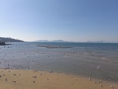 -青岛第一海水浴场