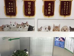 -爱侣宠医·鹦鹉专科·小型哺乳类·异宠专科(灵石路店)