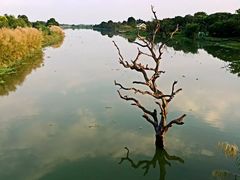 -鹤之洲湿地公园