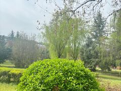 -西安外国语大学(长安校区)