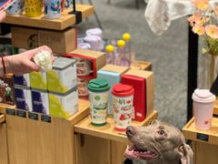 -星巴克(成都泛悦城市广场店)