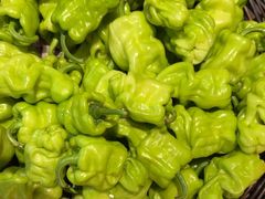 -茄子恰恰·新云南小炒(坪山益田店)