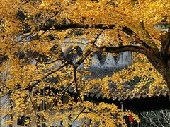 -惠山古镇·寄畅园