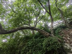 -幕燕滨江·燕子矶公园
