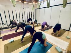 -浦江城市生活广场(江月路店)