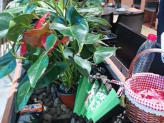 -长安记·大美陕菜(大族广场店)
