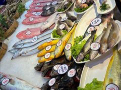 -开海·红岛海鲜虾水饺(石老人店)