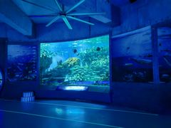 -海合安武汉极地海洋公园