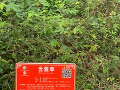 -广西壮族自治区药用植物园