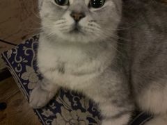 -不舍昼夜咖啡馆