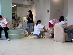-怪兽屋·羊驼·猫咖·狗咖(俊华广场店)