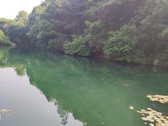 -桃花岭景区