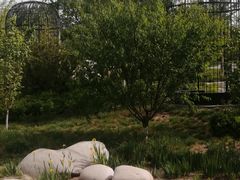 -莲花池公园