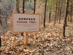 -北京鹫峰国家森林公园