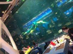 -瑞德姆美人鱼海底演艺主题餐厅(亚龙湾店)
