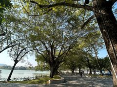 -红花湖景区