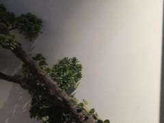 -上足·影院足道·SPA(红岭店)