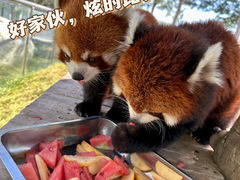 -水上乐园·欢乐世界