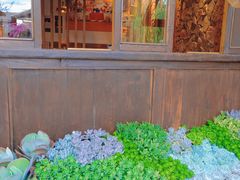 -木王宴语·野生鲜菌火锅(玉河店)