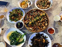 -鲤鱼塘农家山庄