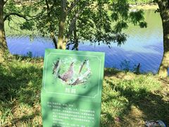 -凤岗南门山森林公园