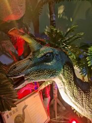 -恐龙探索乐园(磁器口店)