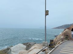 -广东惠东海龟国家级自然保护区