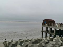 -奉贤海滩