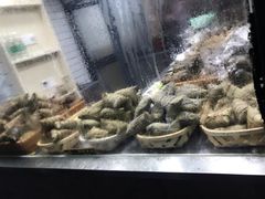 -金太粽(上海弄堂第一粽店)